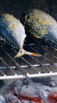 Vertical panoramic close-up video of cooking mackerel fish on a grill barbecue