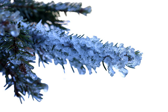 Winterlicher Hintergrund mit gefrorenen Tannenzweigen, Schnee und Eiszapfen, freigestellt in png