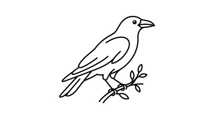 Fototapeta premium Simple black and white line art illustration of a crow perched on a branch.