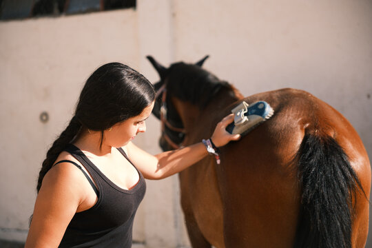 Horsewoman brushing a horse outdoors: equestrian lifestyle
