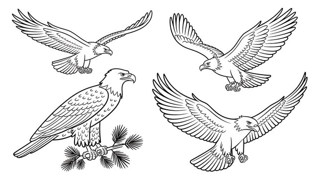 A black and white silhouette illustration set featuring various eagles in flight and perched poses for detailed nature designs