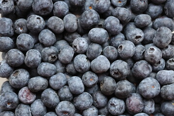 Fresh blueberries piled together, frosty surface visible © Stanislav