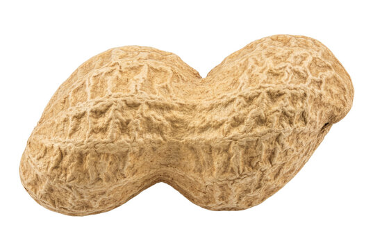Detailed Macro Shot of a Whole Peanut in its Shell