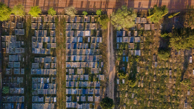 Riebeek-Kasteel, South Africa - 08 September 2026: Aerial view of the cemetery in Riebeek-Kasteel with rows of graves, dirt paths, and surrounding trees under soft sunlight.