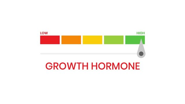 Growth hormone level meter gauge 4K animation with progress indicator and performance infographic