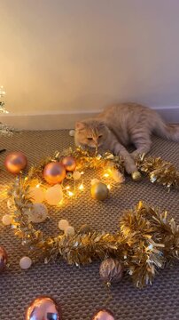 The ginger cat is lying on the floor in a garland and playing with Christmas toys and tinsel.