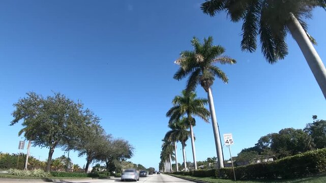 Driving on a Florida road on a sunny day, capturing the bright blue sky, warm weather and typical atmosphere of an American road trip through the Sunshine State.