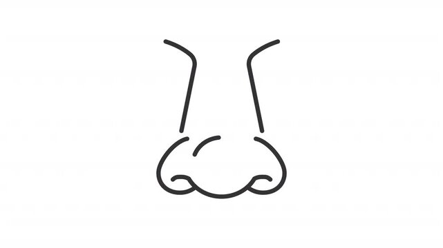 Animated human symmetrical nose outline icon. Facial body part animation. Respiratory health. Medical rhinology for healthy breathing. Flat line motion graphic loop on transparent white