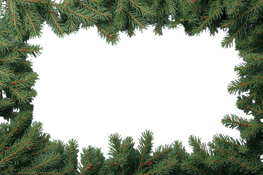 Dense fir branch christmas frame
