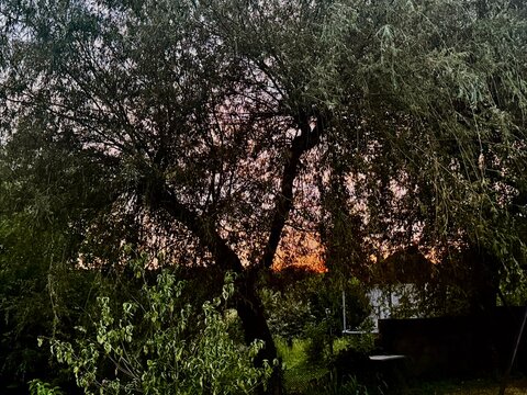 Jura Sunset