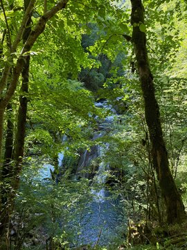 Source de la Loue