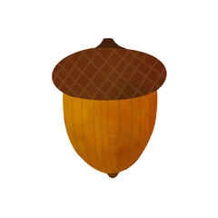 Acorn Isolated on White Background © Asyifa