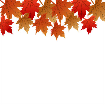 Autumn Maple Leaves Border Frame Background Vector for Thanksgiving Design. Resizable and editable, EPS 10.