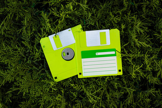 Green floppy disks on natural foliage