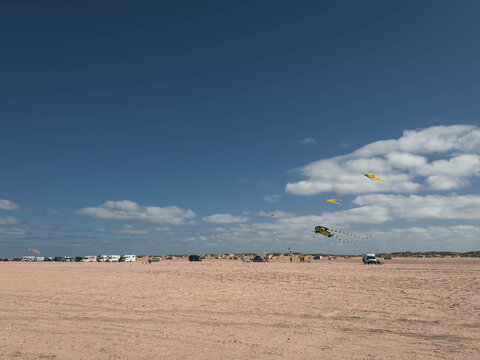 Cars driving and parked on wide sandy beach under bright sunny blue sky, Denmark