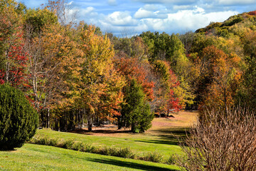 Obraz premium Autumn Colors in the North Carolina Mountains.