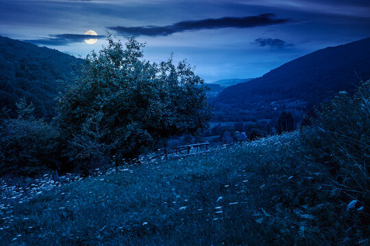 rural mountain landscape of ukraine at night. countryside scenery of transcarpathia in summer. forested hills and grassy meadows under dark sky in full moon light