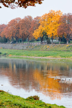 street on the river shore in autumn. uzhhorod city with in fall season. reflection on the water. linden trees and lantern