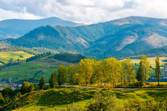 countryside mountain landscape in autumn. scenic rural area of ukraine in fall season. mountain path to volovets town in the valley. sunny afternoon