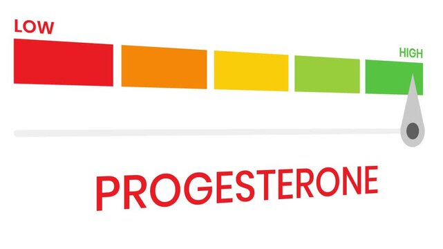 Progesterone gauge level 4k animation progress indicator  from low to high