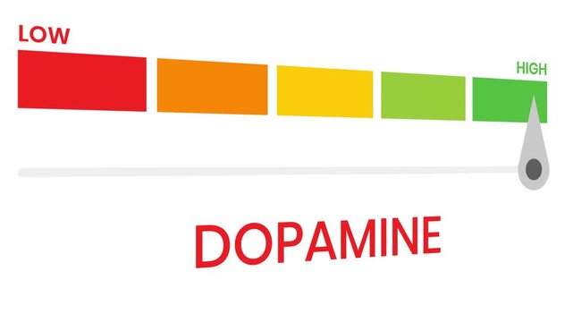 Dopamine gauge level 4k animation progress indicator  from low to high