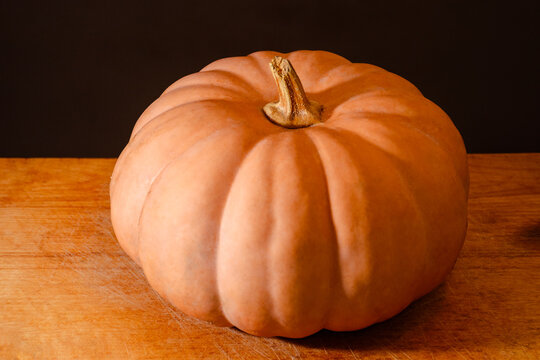 orange pumpkin on the wooden table. autumn vegetable harvest. dark background for thanksgiving