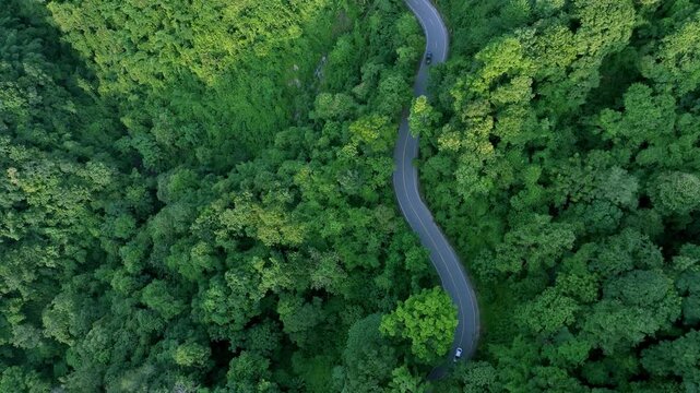 Aerial forest road with car creating abstract background for electric vehicle, ESG, sustainability and green investment business concepts.