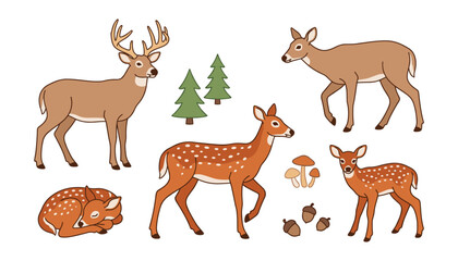Obraz premium Cute Woodland Deer and Spotted Fawn Character Set with Pine Trees, Mushrooms, and Acorns for Nursery Room Wall Art and Children Book Illustrations