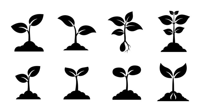 Plant sprout silhouettes depict growth stages on a white background