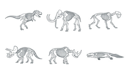 Prehistoric Animal and Dinosaur Skeleton Vector Illustration Set Featuring Line Art Fossil Bones of Tyrannosaurus Rex, Mammoth, Sabertooth Tiger, and Triceratops for Museum Designs © yesmin