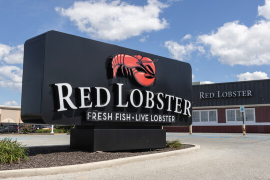Red Lobster Seafood Restaurant. Red Lobster is a popular casual dining restaurant chain serving shrimp, lobster and biscuits.