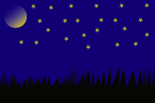 Night sky with a full moon and twinkling stars over grass