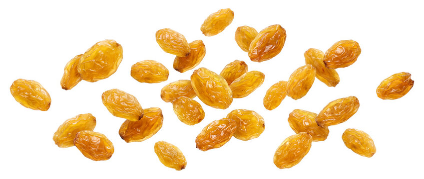 Falling golden raisins isolated on transparent background