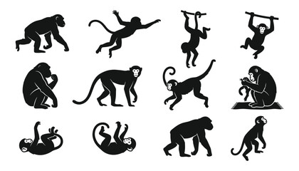 Fototapeta premium Monkey Silhouette Vector Graphic Set with Isolated Black Chimpanzee, Gorilla, and Ape Shapes Hanging, Climbing, and Jumping for Jungle Nature Designs.