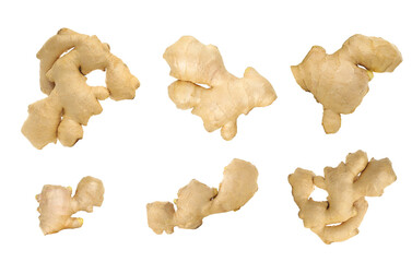 Fototapeta premium Collection of fresh ginger root pieces isolated on white background for natural food and herbal ingredient concept