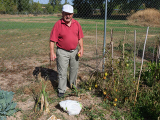 Old man stands in orchard, smiling gently. He wears red shirt and white cap. Tomatoes and greens grow nearby. Fence surrounds the cultivated plot. Sunlight casts clear shadows © ANTONIO