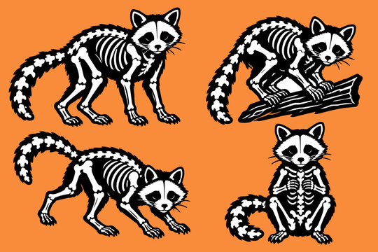 Set of Halloween Raccoon skeleton illustrations, vector trash panda graphics for posters and invites