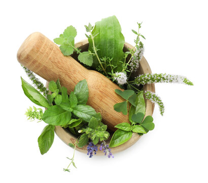Mortar with pestle and herbs isolated on white, top view