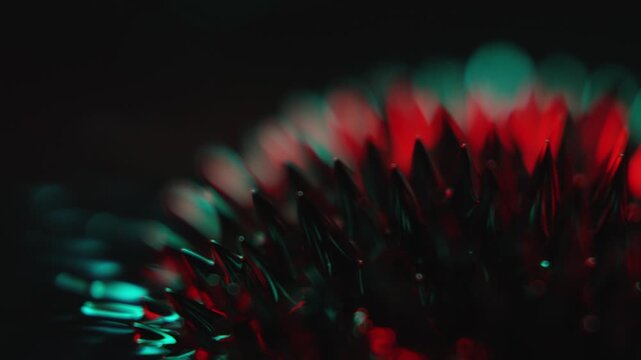 Black,Color,CMY,RGB,Art,Spikes,Myriad,
Aggregate,Light,Softbody,Liquid,Heartbeat,
Unknown Creature,Sea Anemone,
Sea Urchin,Cell,C-UP