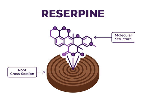 Reserpine chemical formula vector diagram showing the molecular structure alongside a plant root cross section isolated on a clean transparent background.