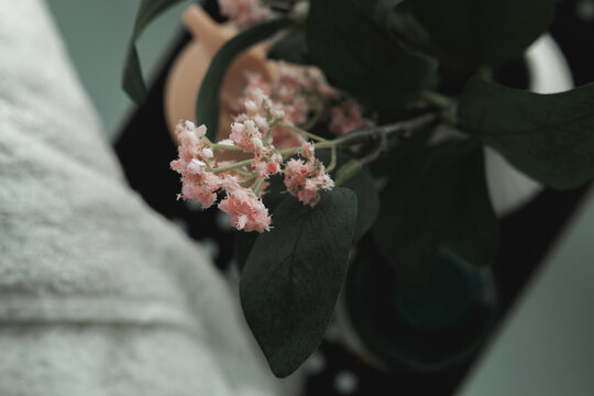 Pink Flower