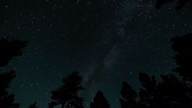 Milky Way Galaxy in Southwest Sky Over Mountain Trees 15mm Tilt Down Astrophotography Time Lapse California USA