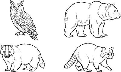 Forest Animal Line Art Vector Set with Detailed Illustrations of an Owl, Grizzly Bear, European Badger, and Raccoon for Coloring Books and Wildlife Designs © DarparajDab