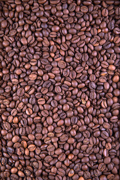 Close-up background of coffee beans