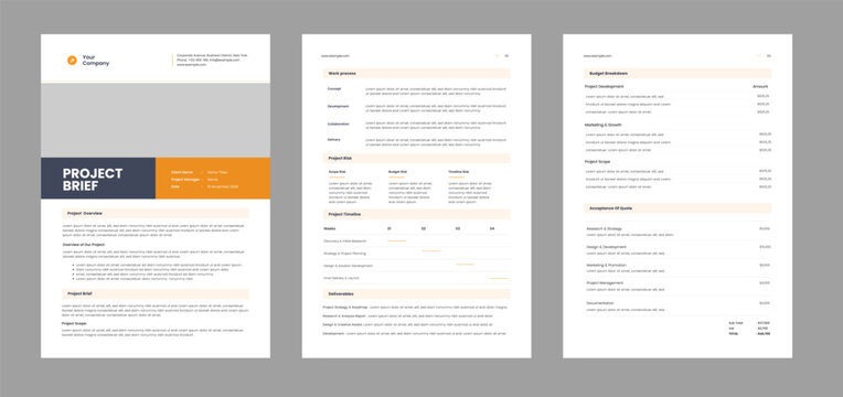 Professional Project Brief  Template Design

