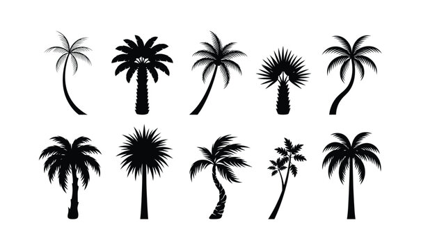Set of black palm tree silhouettes isolated on a white background