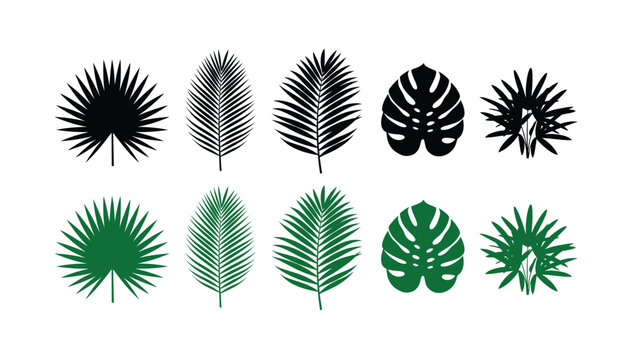 Set of black and green tropical palm leaf silhouettes on white background