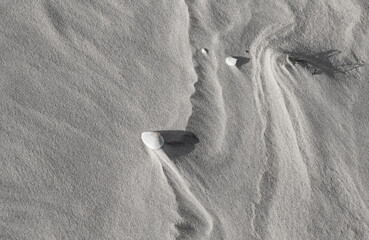 Shells resting on sandy beach © misu
