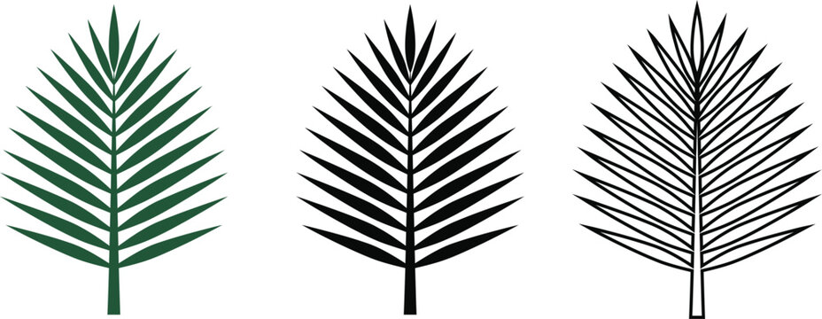 Symmetrical palm leaf vector icons in solid green black and outline styles