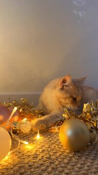 A close‑up of a ginger cat in a glowing garland and tinsel, playing with Christmas toys.